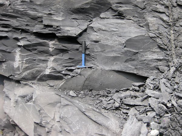 頁(yè)巖 頁(yè)巖